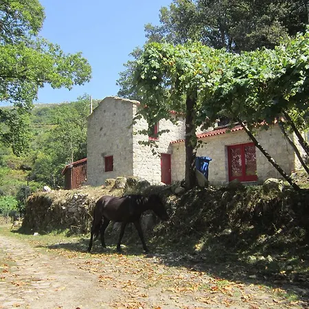 Country house Picoto House